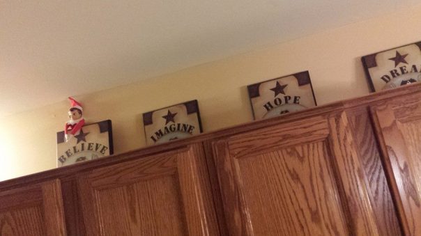 1484209_10152072361104743_1558691471_n