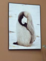 10960452_10152706740148753_6608247283668904192_o